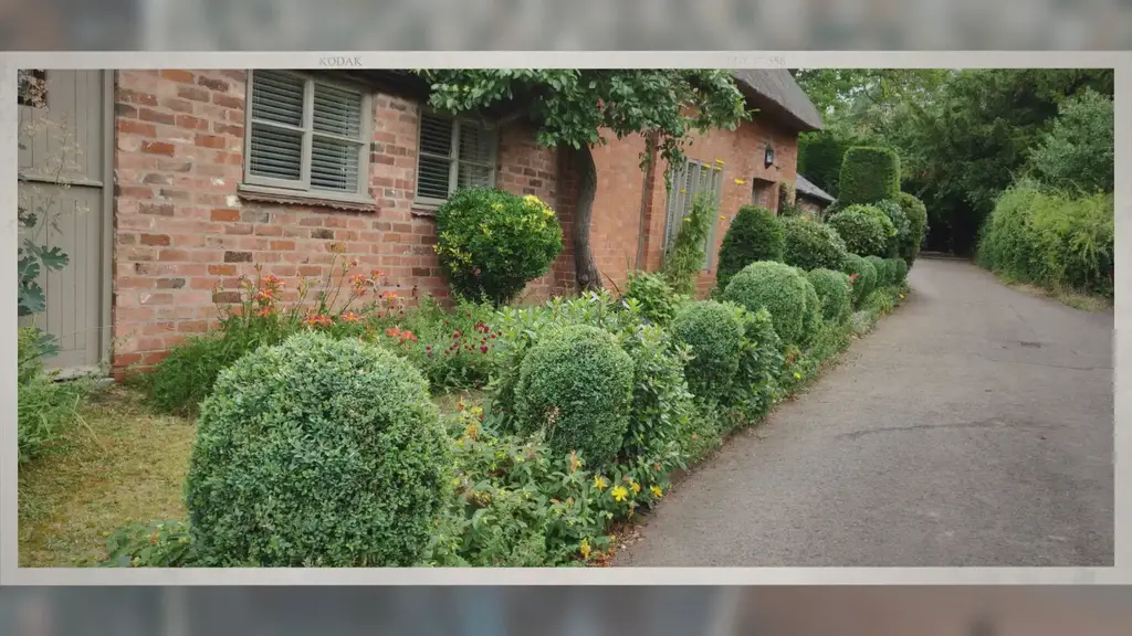 'Video thumbnail for Do I Need Planning Permission To Plant Or Remove A Hedge?'
