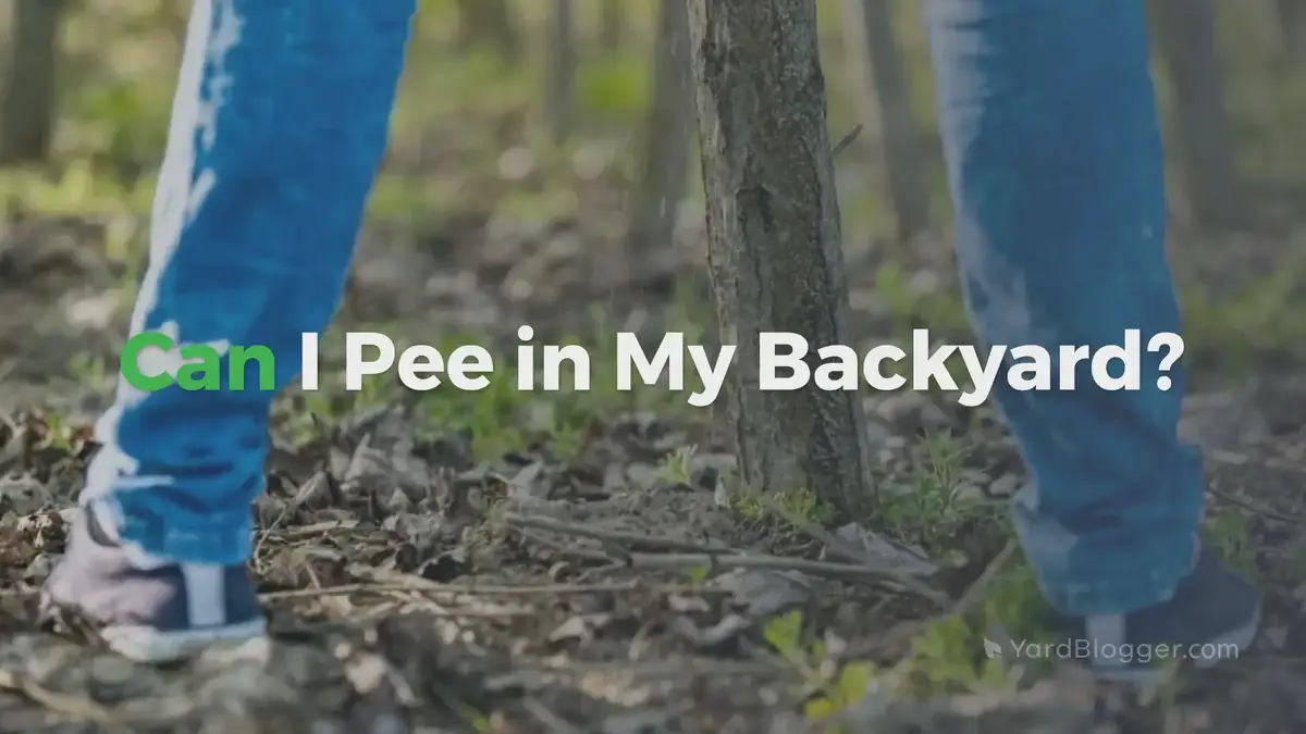 'Video thumbnail for Can I Pee in My Backyard?'