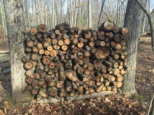 How To Stack the Perfect Firewood for Your Fire Pit