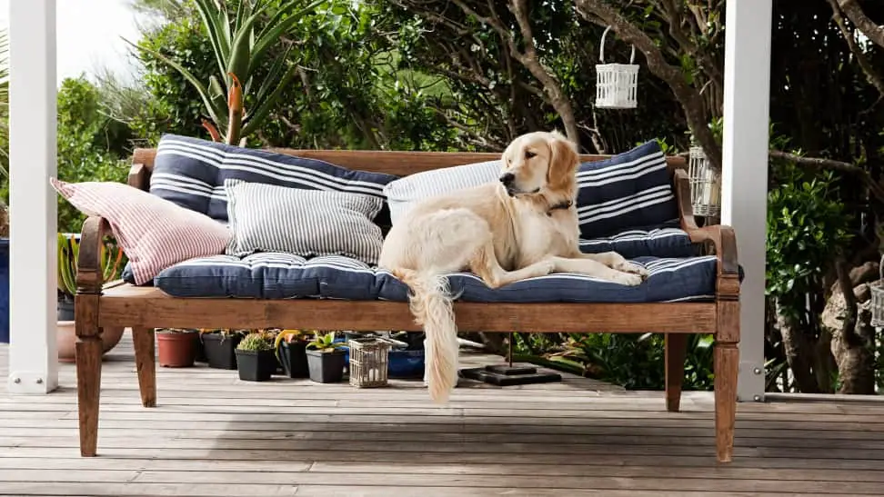 how to STOP Dogs From Urinating On Patio Furniture