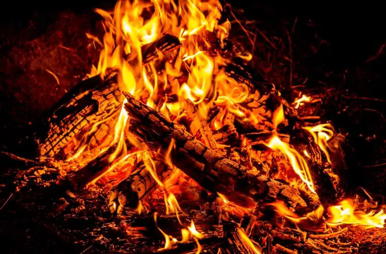 12 Best Firewood To Burn In A Fire Pits