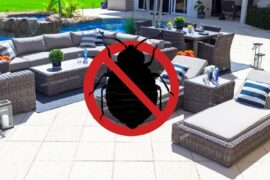 [FACTS]Can Bed Bugs Live In Patio Furniture Cushions?