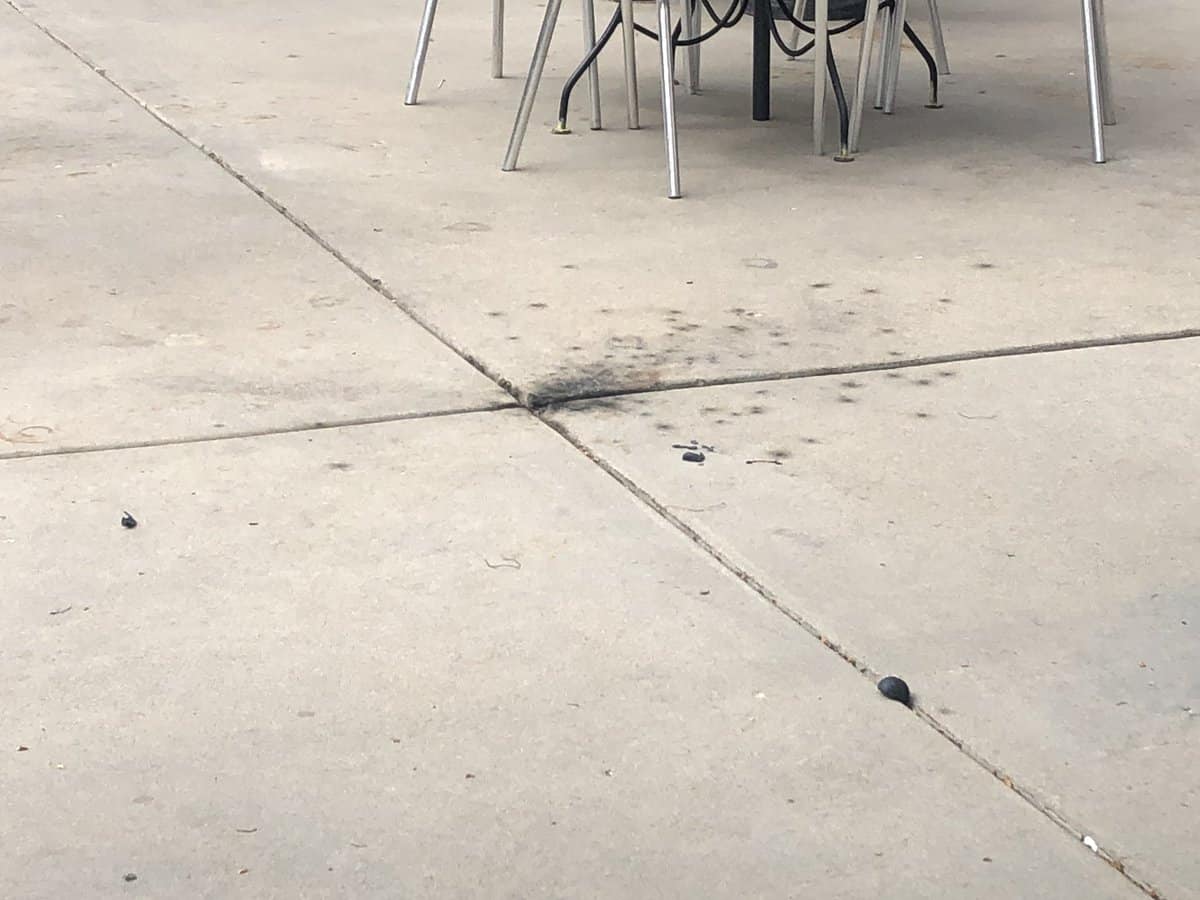 [EASY] How to Remove Burn Marks From Patio Clever Patio