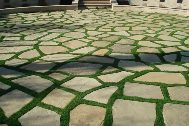 How to Maintain Grass between Pavers