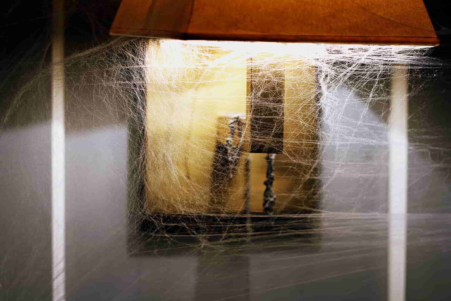 [7 WAYS] Keep Spiders Away from Patio Clever Patio