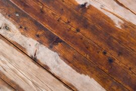 Why Is Your Shed Floor Wet? (Preventions)
